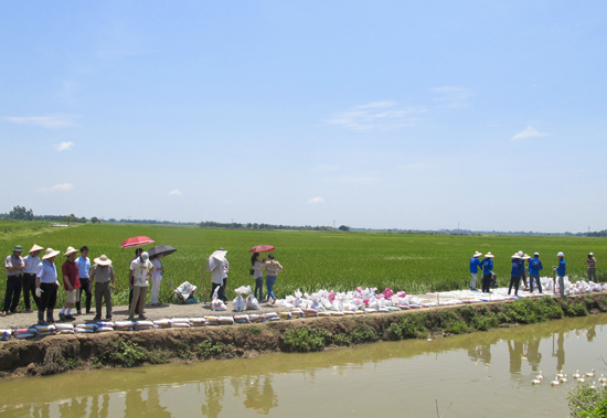 Sử dụng công nghệ Do-nou (túi đất) trong sử dụng và bảo trì đường giao thông nông thôn ở Việt Nam