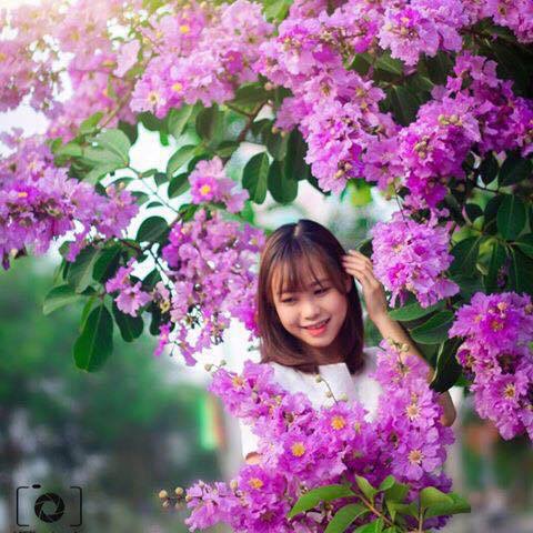 Thay đổi avatar. Nên chọn ảnh kích thước 140 x 140 Hà Hoàng Giang
