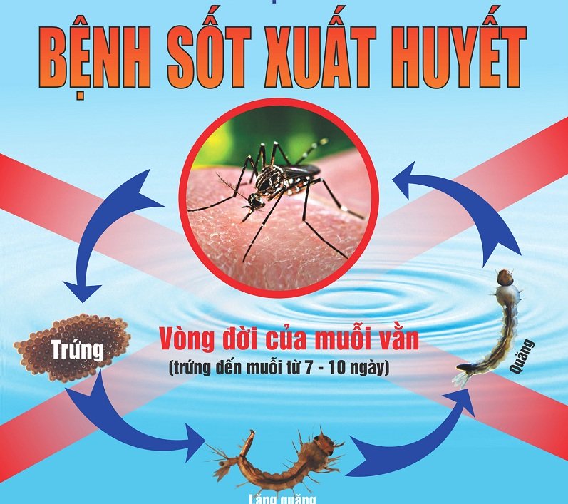 Kế hoạch Tổ chức các hoạt động tập trung cao điểm phòng, chống dịch bệnh sốt xuất huyết
