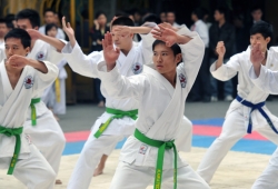 Kế hoạch Tổ chức chương trình giao lưu, biểu diễn võ thuật Karatedo