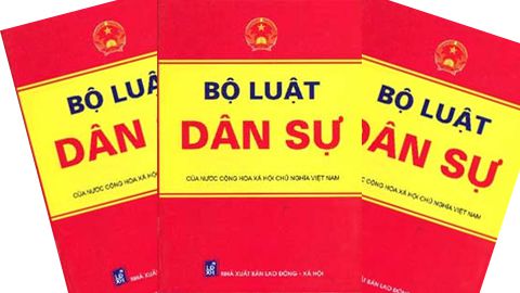 Bộ luật dân sự 33/2005/QH11