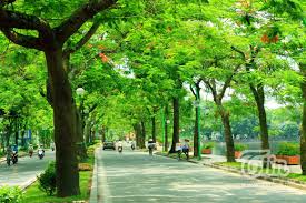 Tổ chức Lễ ra quân trồng, chăm sóc hàng cây Thanh niên và giao lưu VH–VN–TDTT hưởng ứng Tháng Thanh niên năm 2017