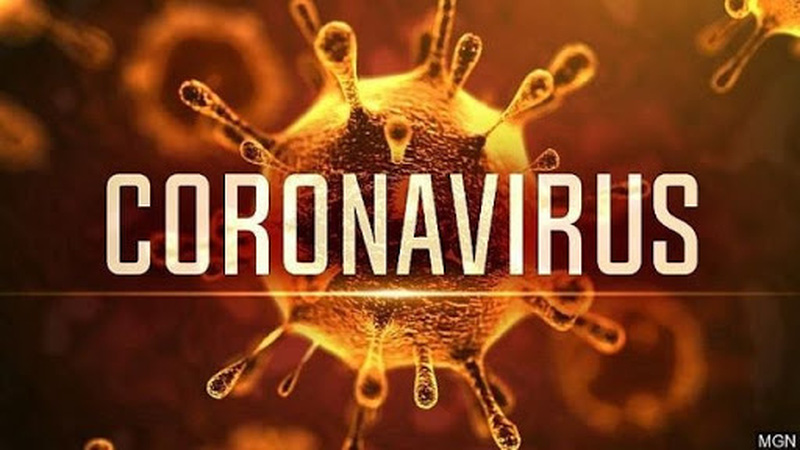 Thông báo nghỉ học do dịch bệnh viêm đường hô hấp cấp do chủng mới của virus Corona