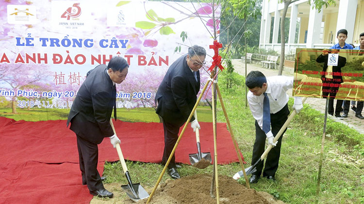 Lễ trồng cây hoa Anh đào Nhật Bản tại cơ sở đào tạo Vĩnh Phúc