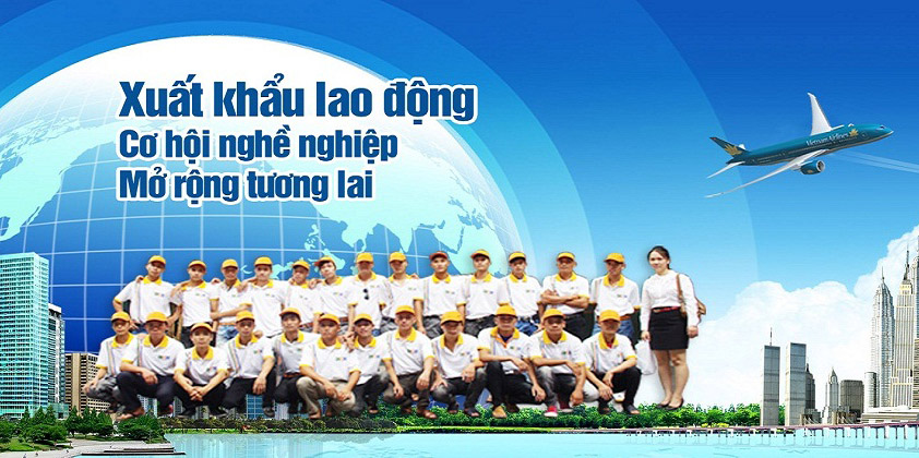 Công ty Cổ phần Traenco Việt Nam tuyển dụng