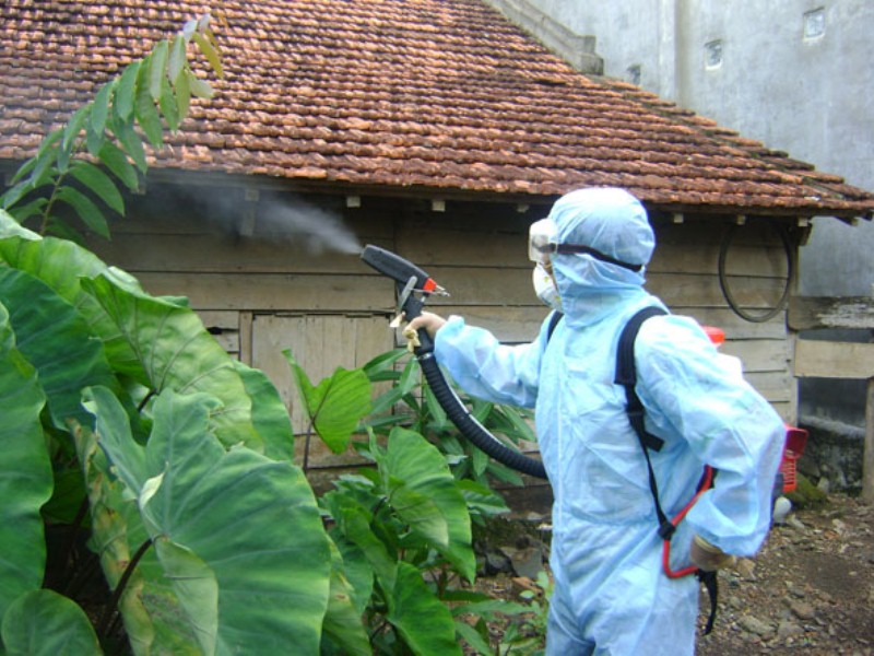 Thông báo Phòng chống dịch Sốt Xuất Huyết